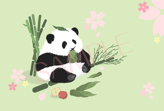 【JP】Moya Huahua panda maxicard postcard and stamp