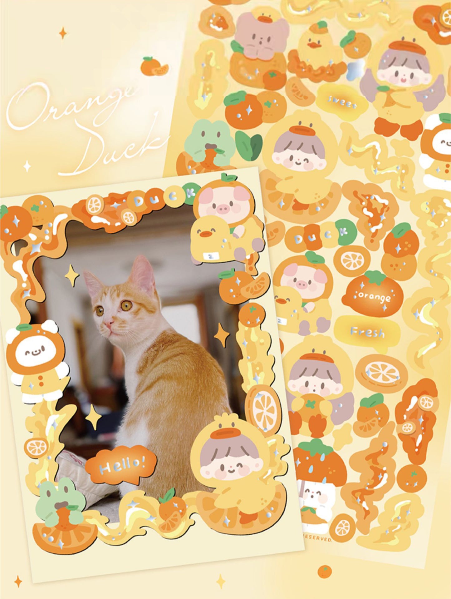 Molinta no border colorful girl sticker set 6（all 4）
