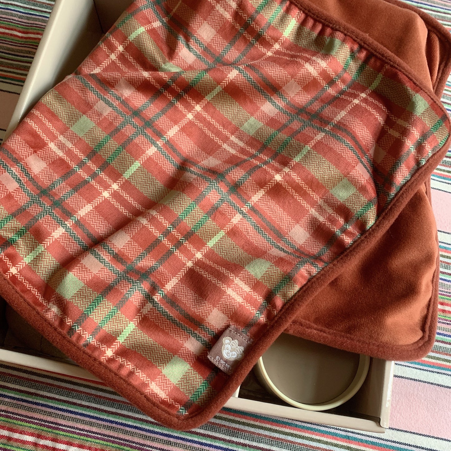 Tokyo Disney Sea 2021 warm winter story time Duffy and friends ShellieMay change of clothes