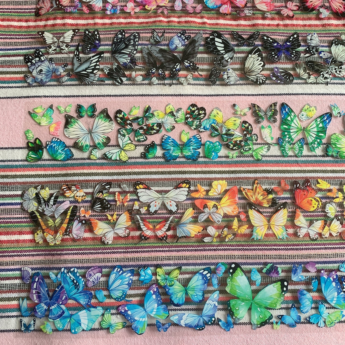 Butterfly theme PET tape sample set