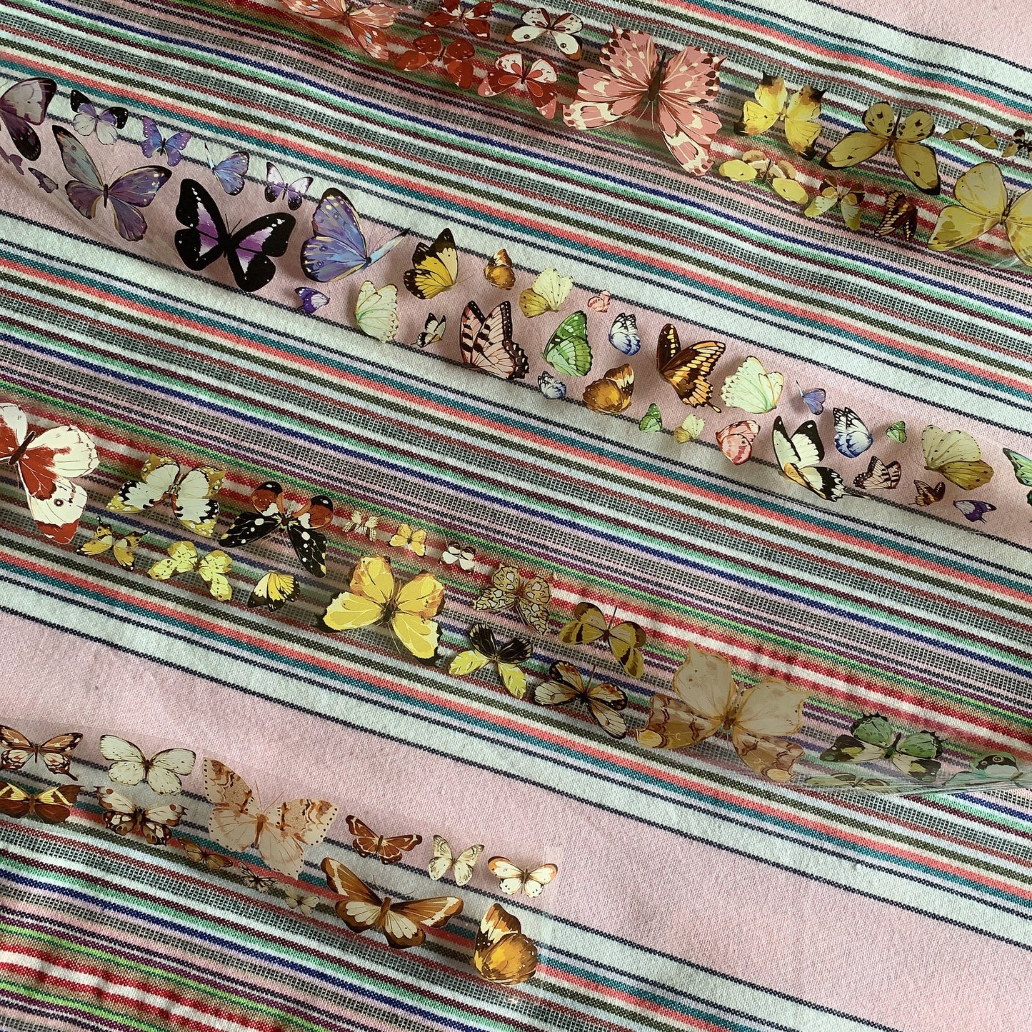 Butterfly theme PET tape sample set