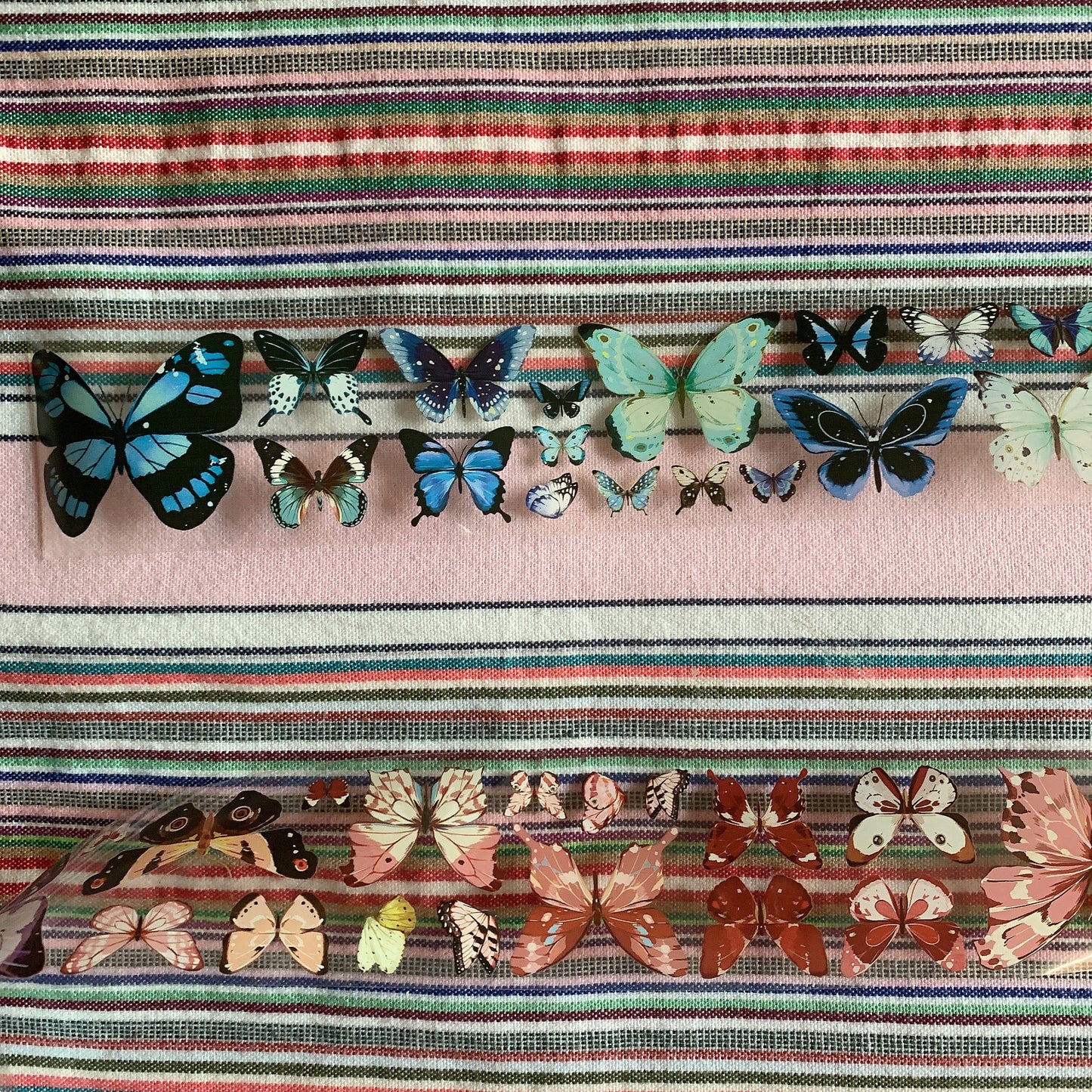 Butterfly theme PET tape sample set