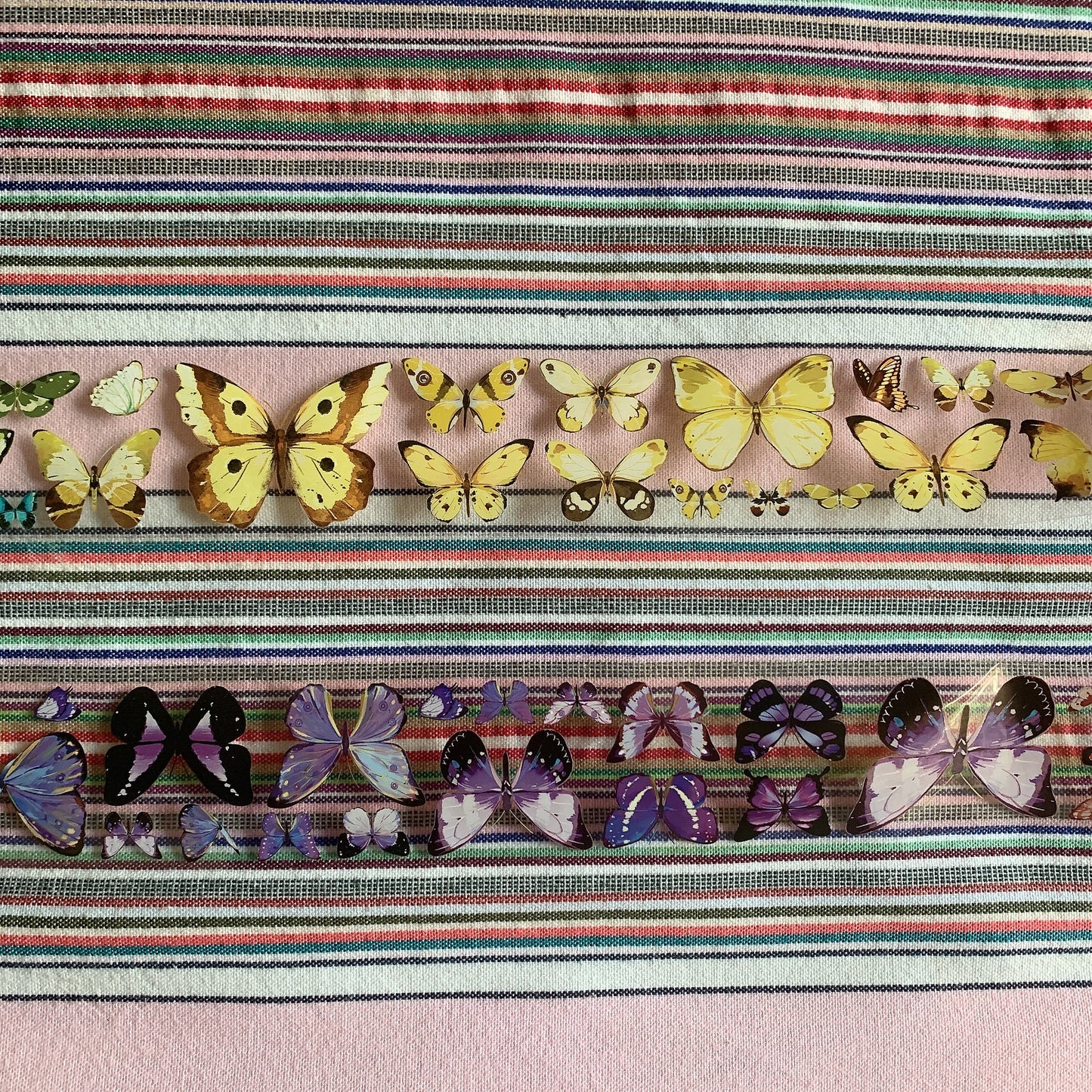 Butterfly theme PET tape sample set