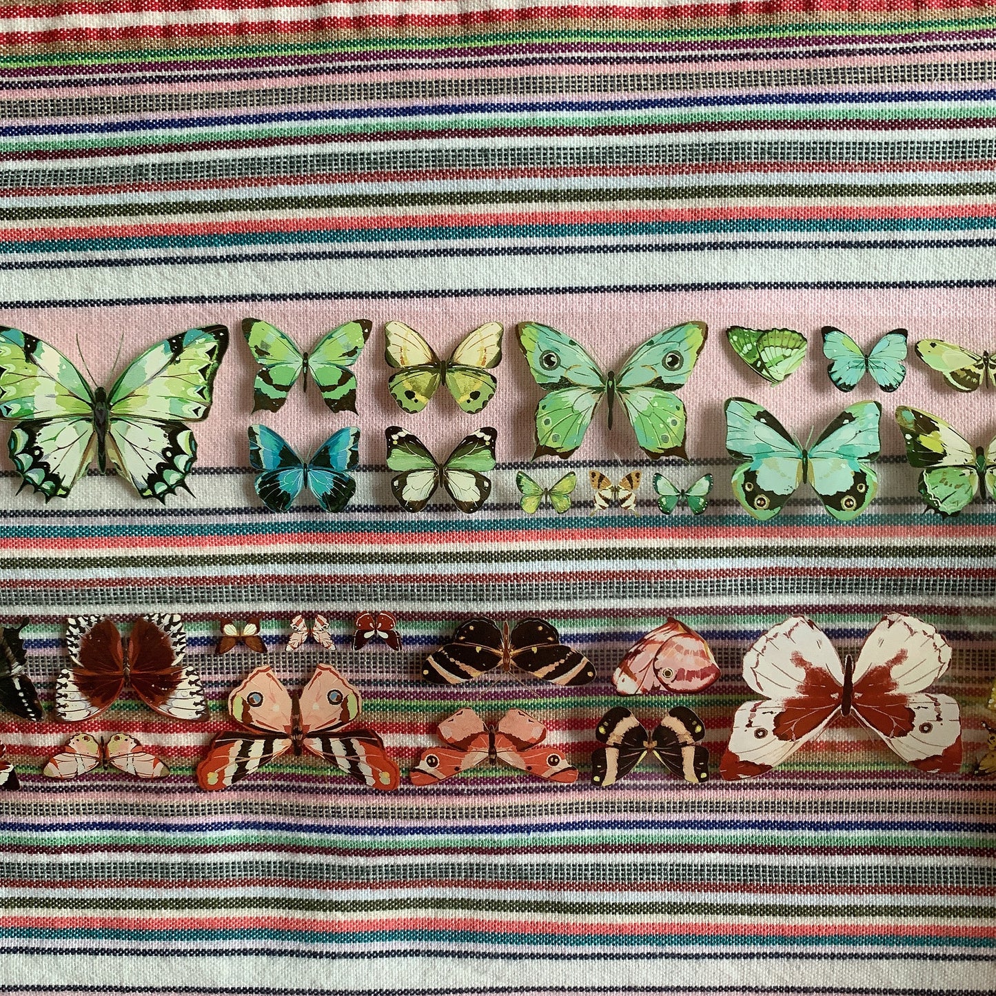 Butterfly theme PET tape sample set