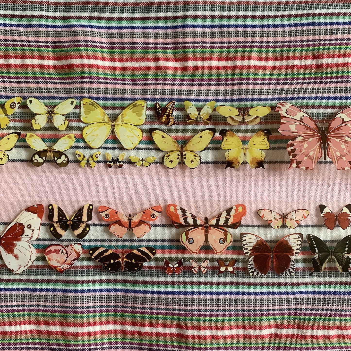 Butterfly theme PET tape sample set
