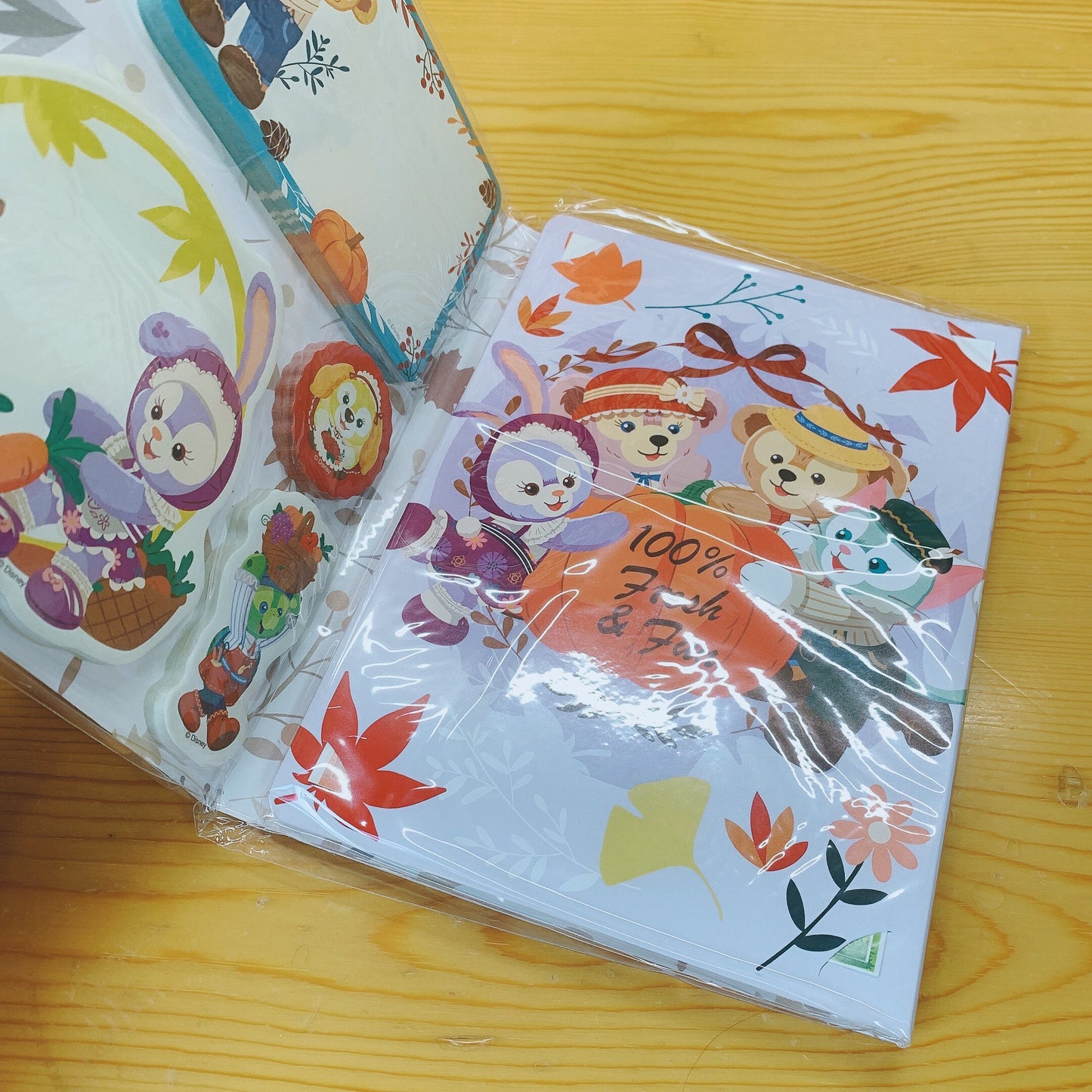 SALE kawaii artist stationery set 10