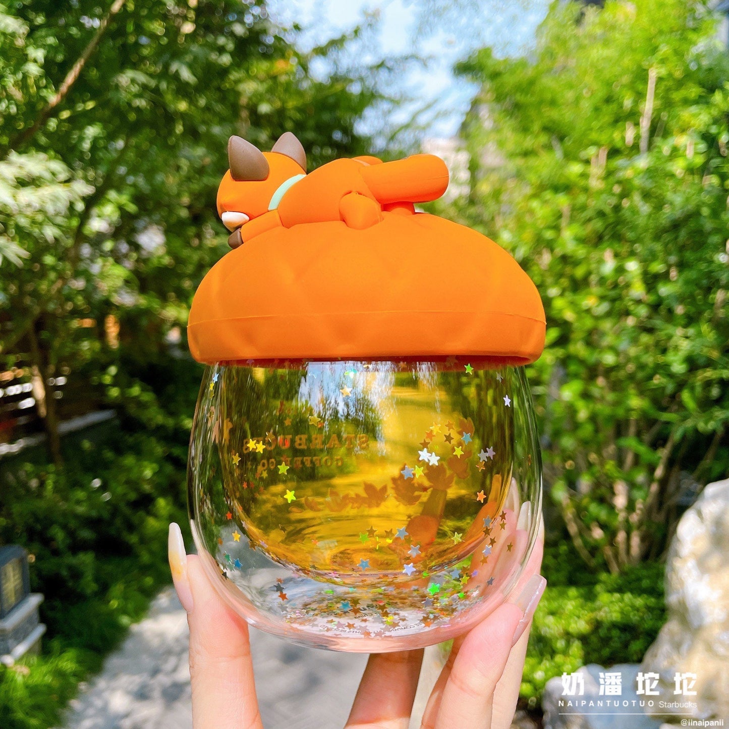 Starbucks China 245ml 2021 acorn with fox double glass cup