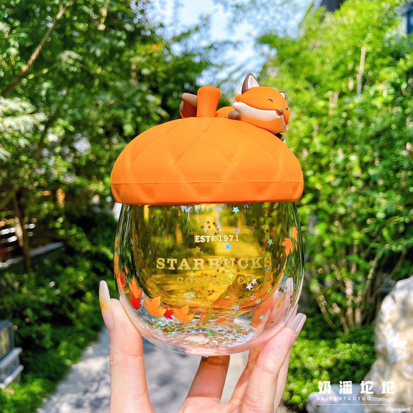 Starbucks China 245ml 2021 acorn with fox double glass cup