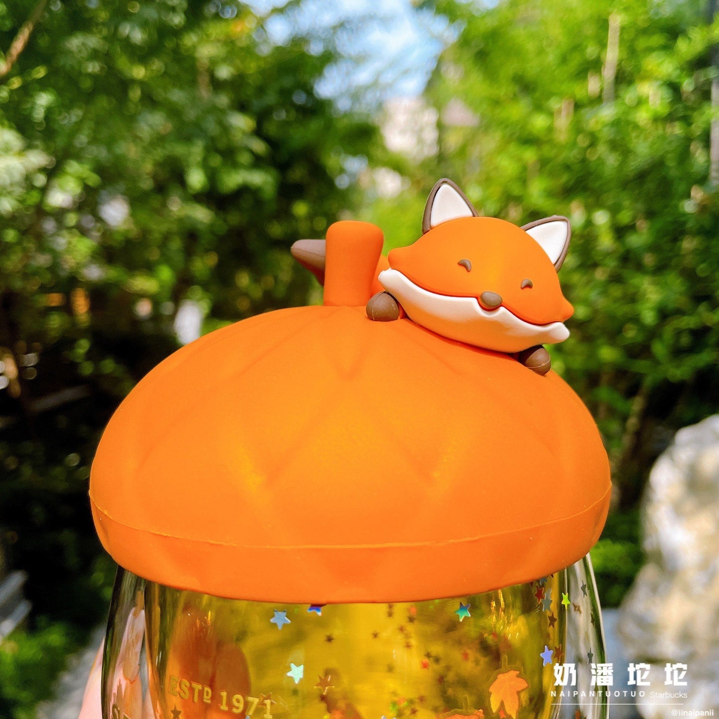 Starbucks China 245ml 2021 acorn with fox double glass cup