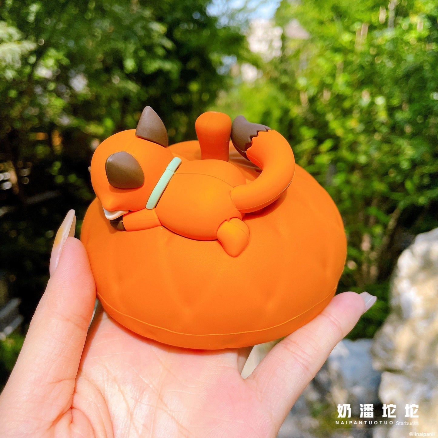Starbucks China 245ml 2021 acorn with fox double glass cup