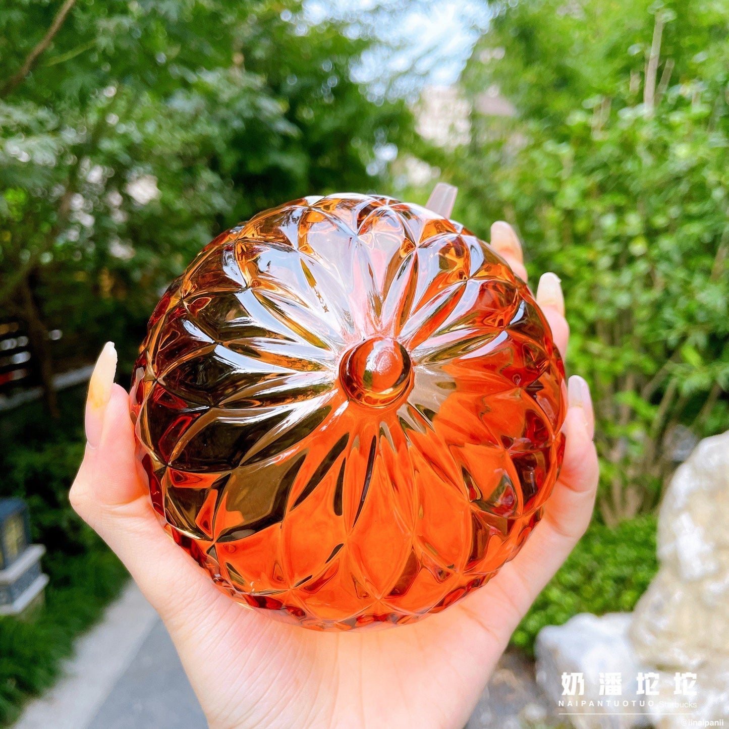 Starbucks China 430ml 2021 autumn forest acorn glass cup