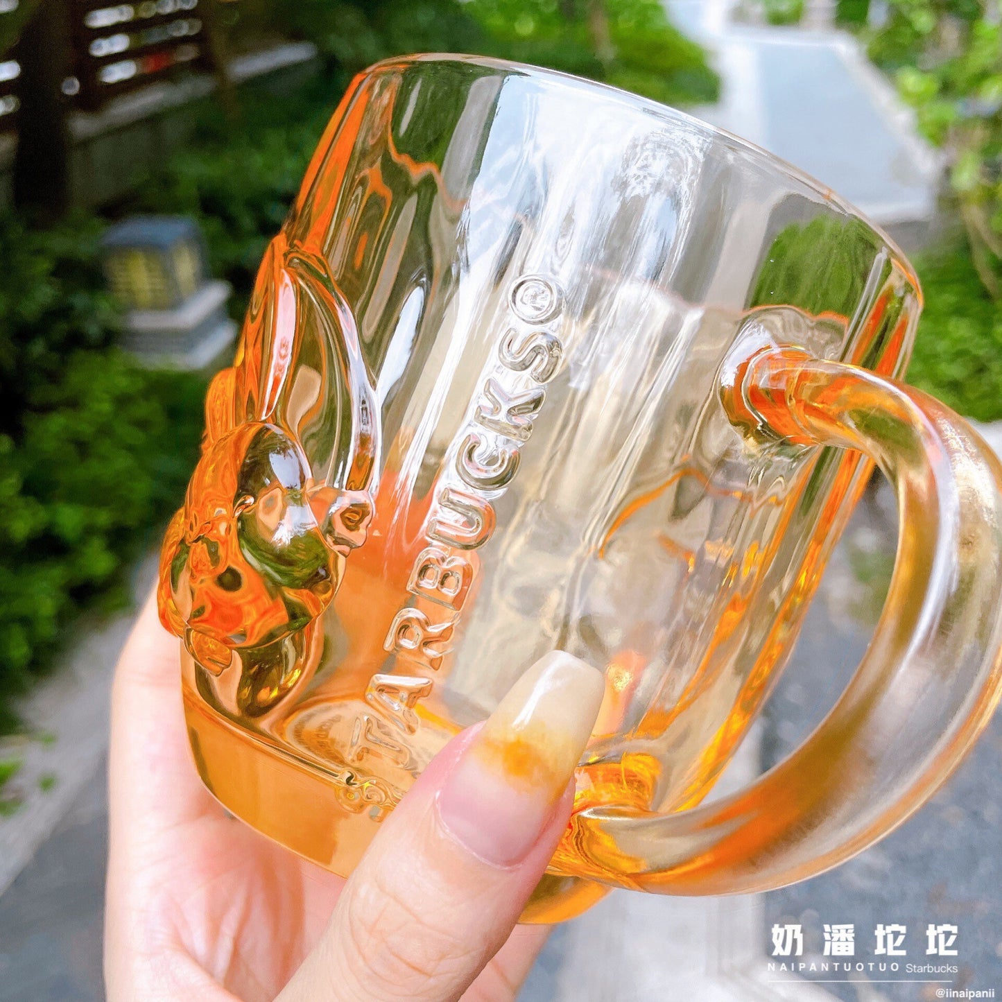 Starbucks China 430ml 2021 autumn forest acorn glass cup