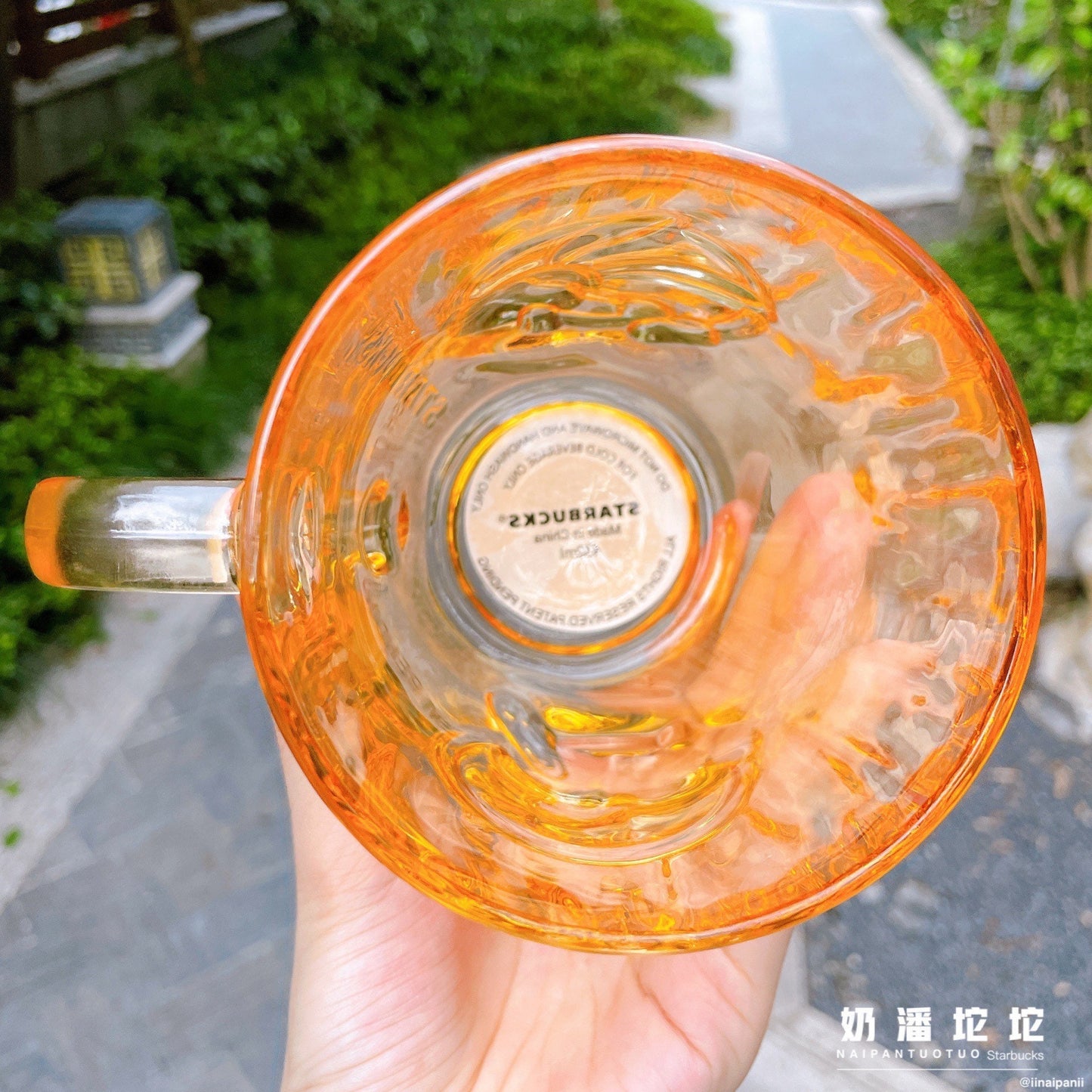 Starbucks China 430ml 2021 autumn forest acorn glass cup
