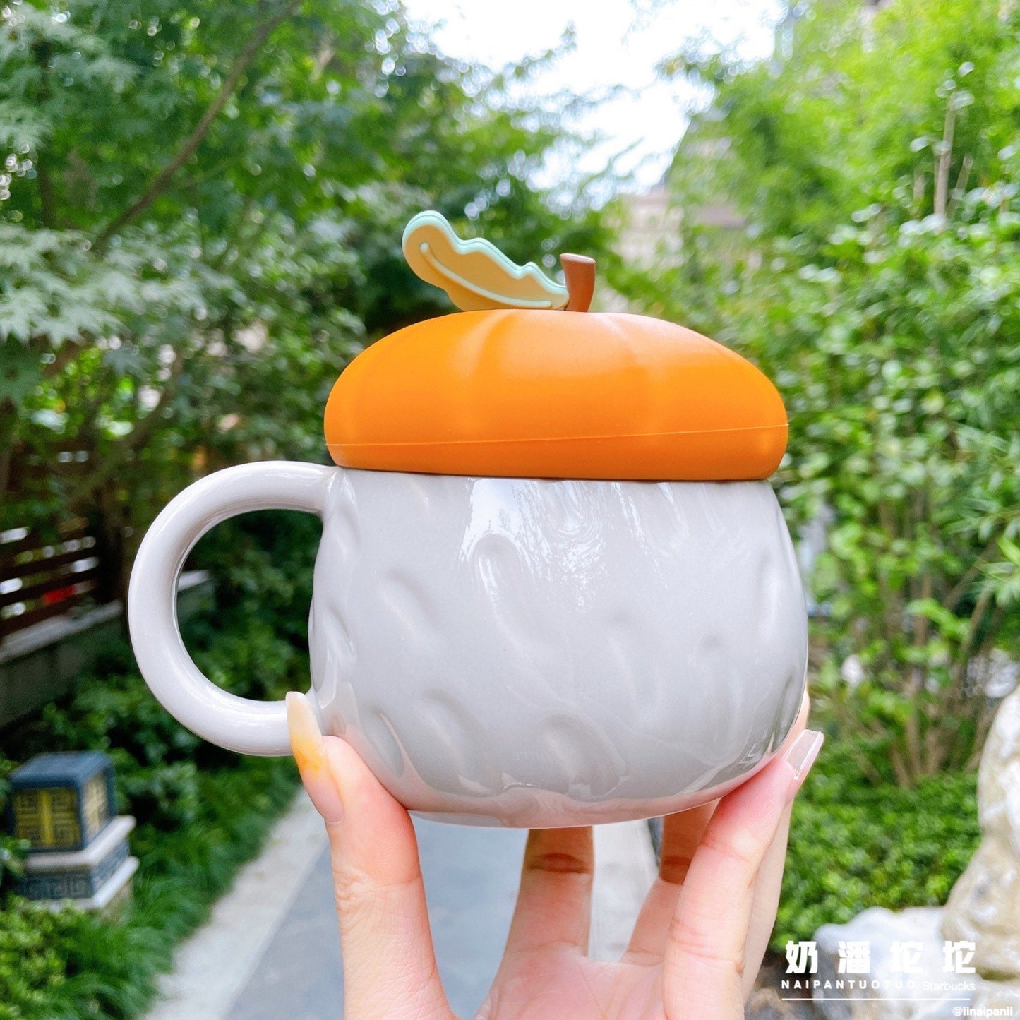Starbucks China 335ml 2021 autumn forest acorn and hedgehog ceramics mug