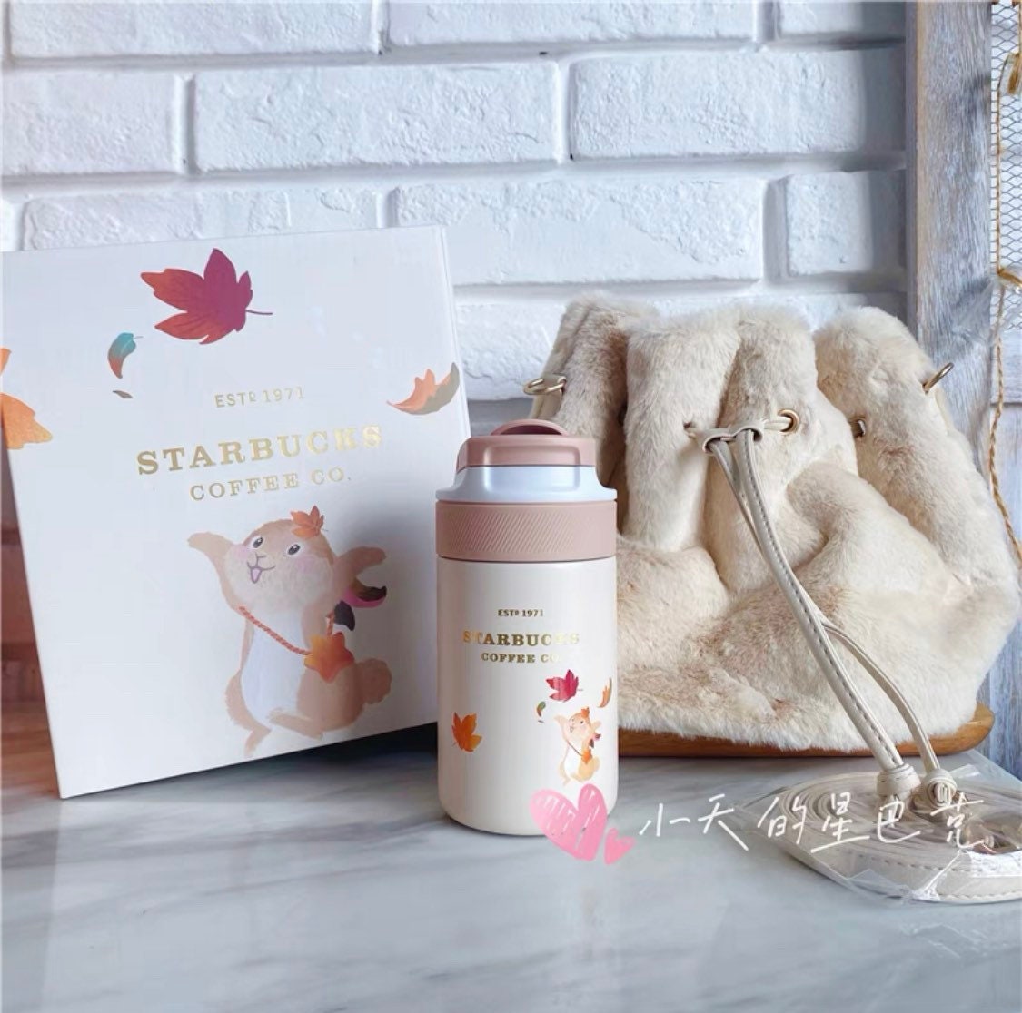 Starbucks China 280ml 2021 autumn stainless cup with rabbit plush bag set