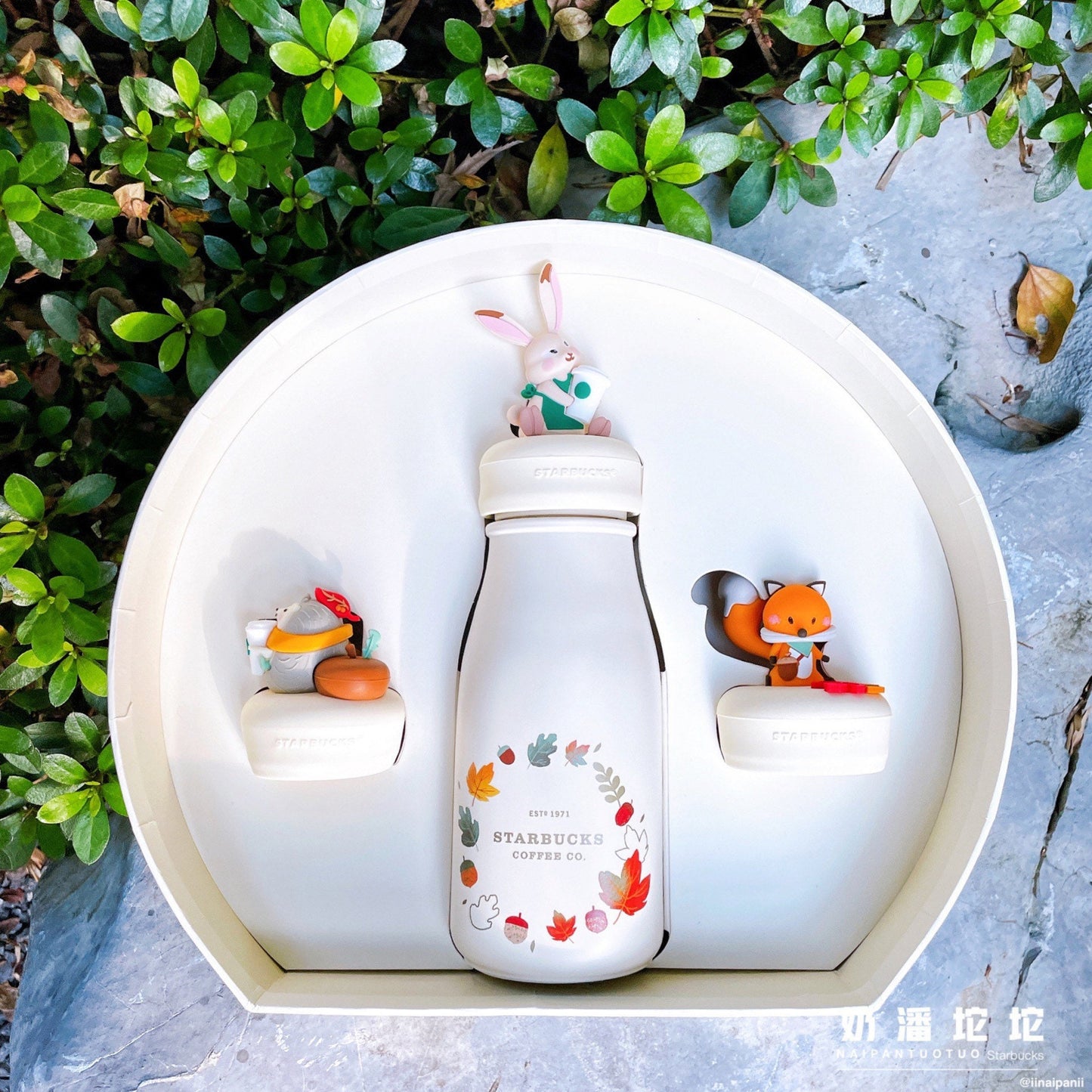 Starbucks China 237ml 2021 autumn maple leaves vacuum cup with 3 cover set