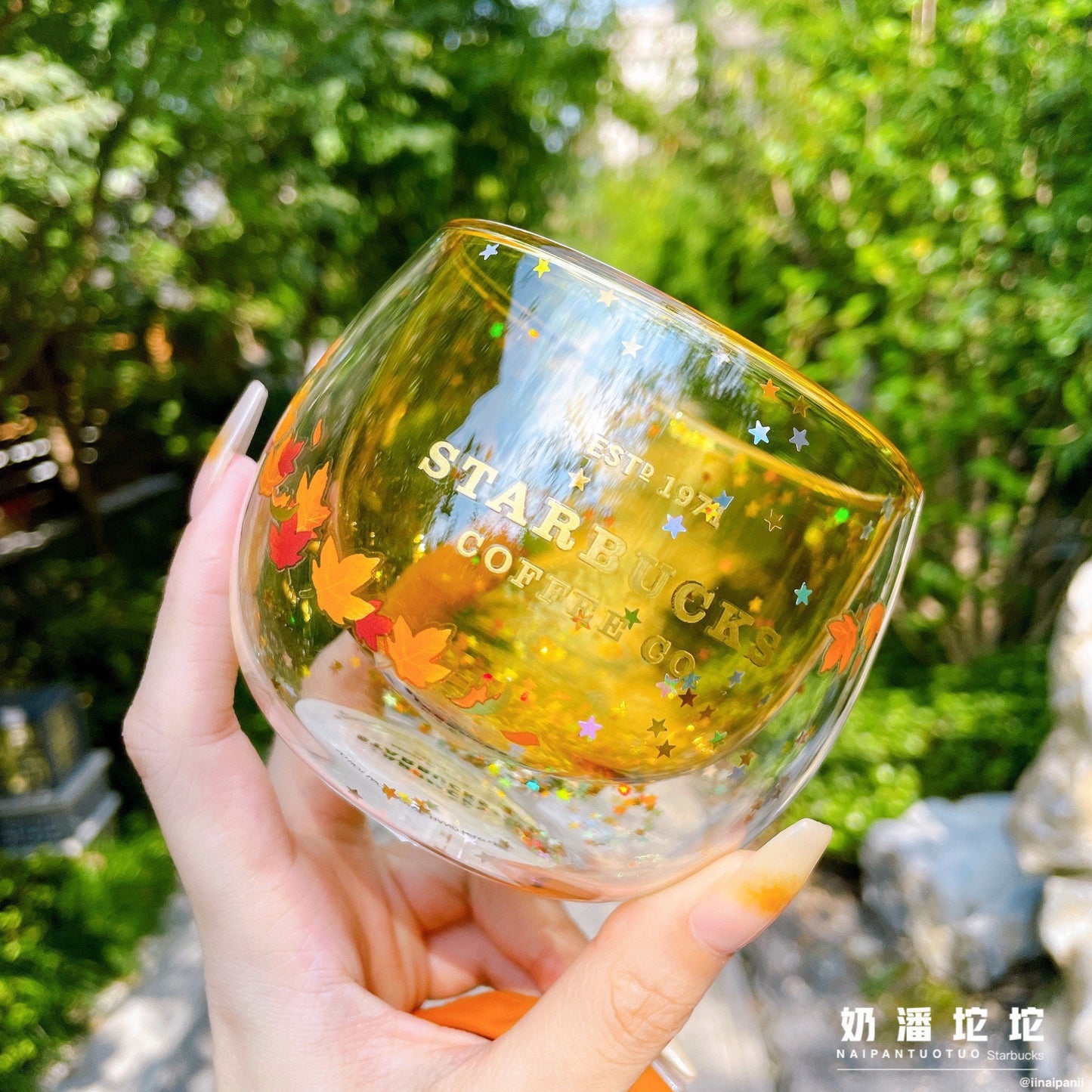 Starbucks China 245ml 2021 acorn with fox double glass cup