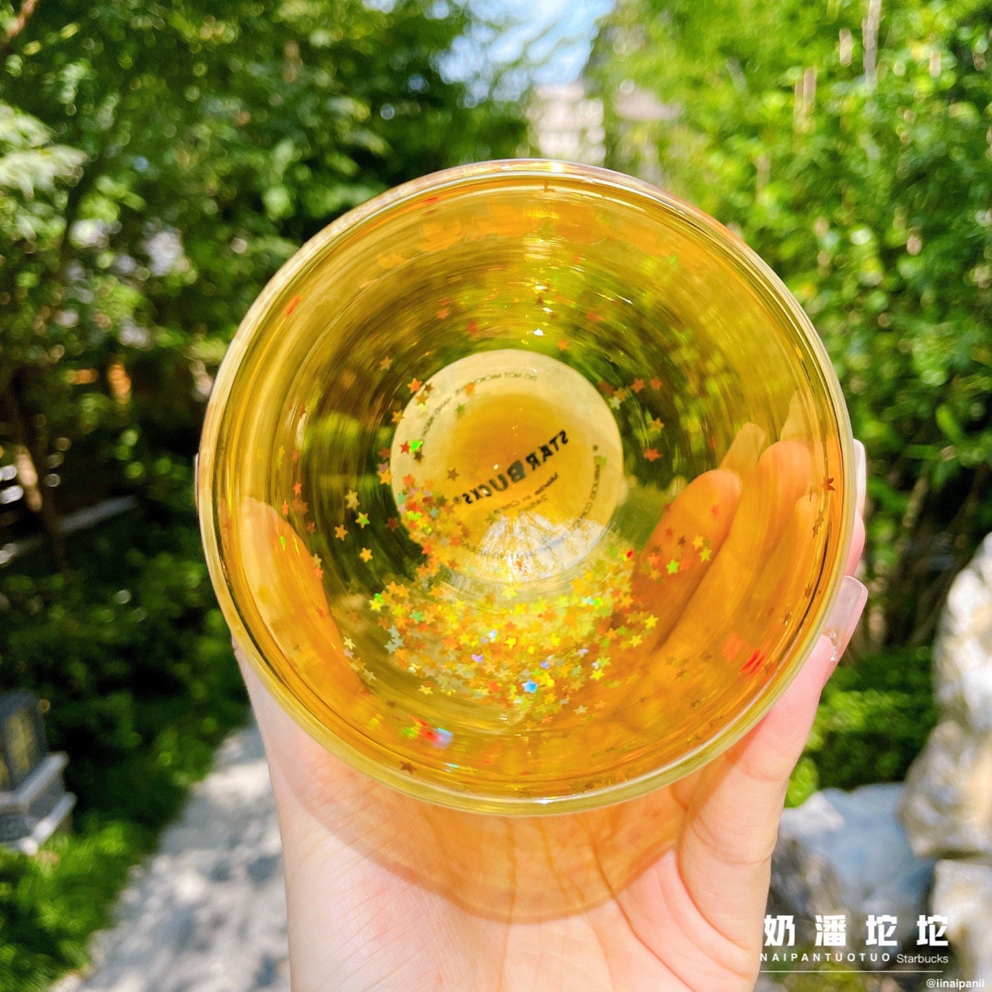 Starbucks China 245ml 2021 acorn with fox double glass cup
