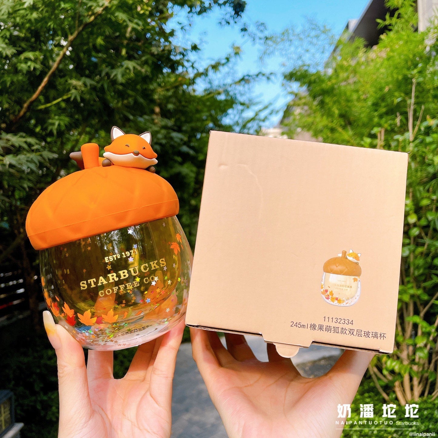 Starbucks China 245ml 2021 acorn with fox double glass cup