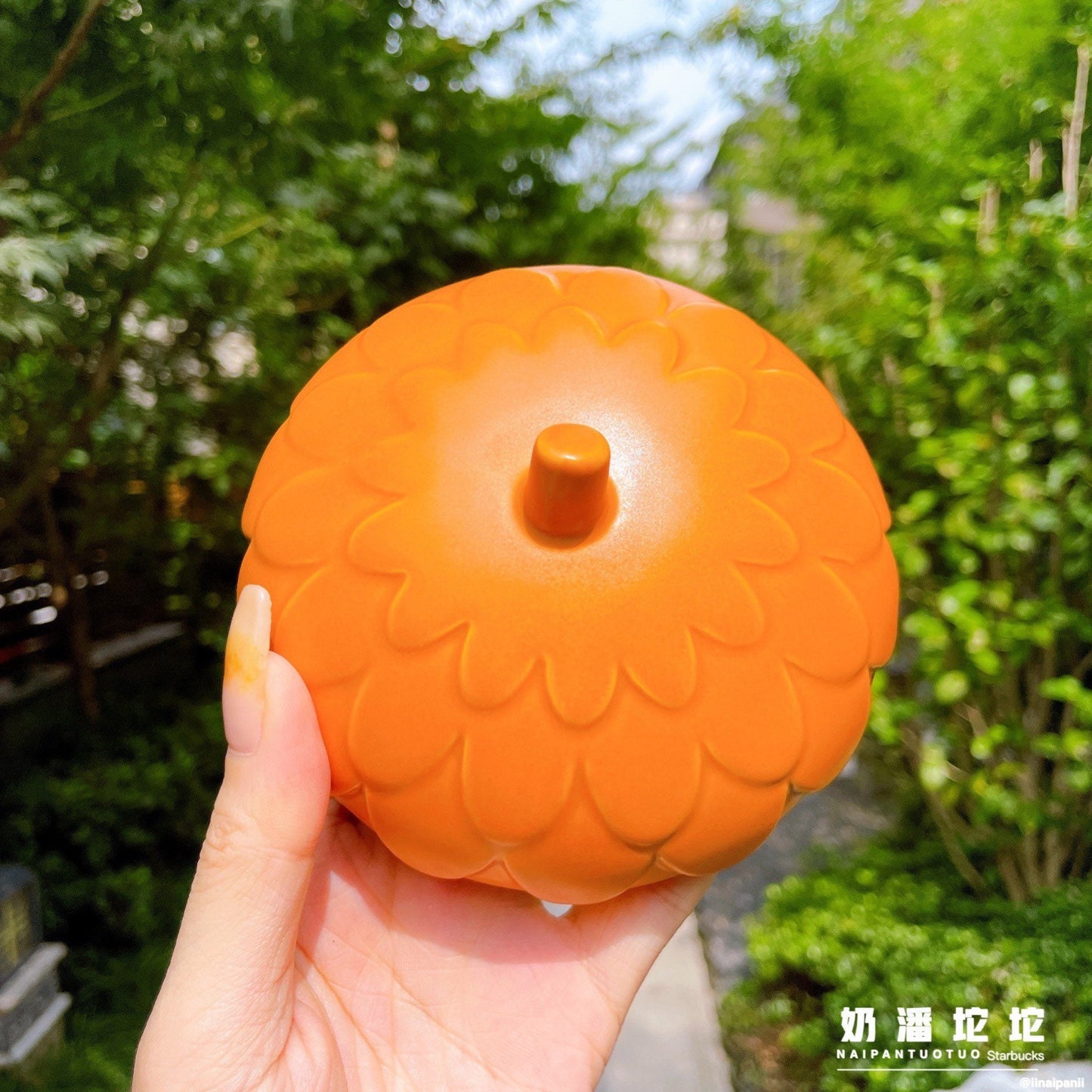 Starbucks China 360ml 2021 autumn forest acorn ceramics mug