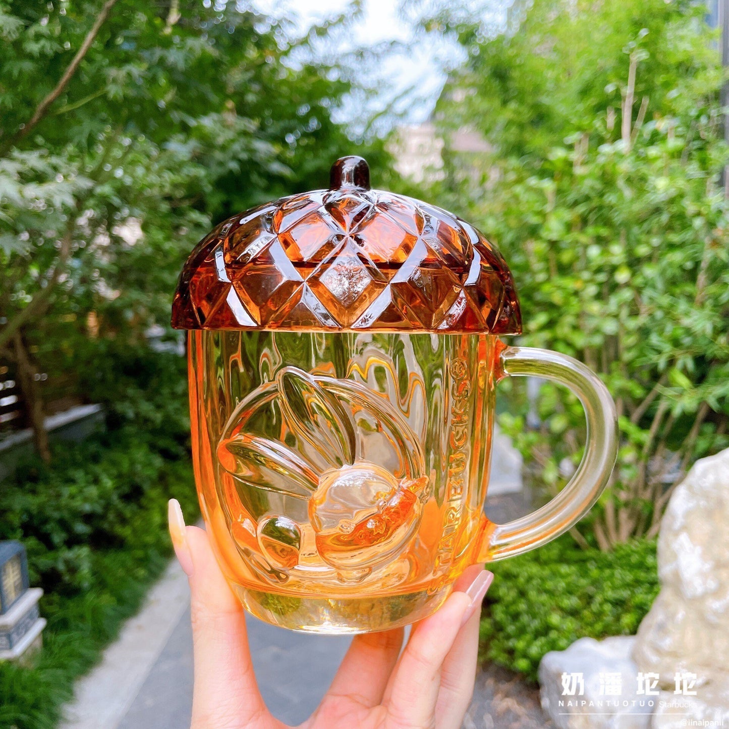 Starbucks China 430ml 2021 autumn forest acorn glass cup