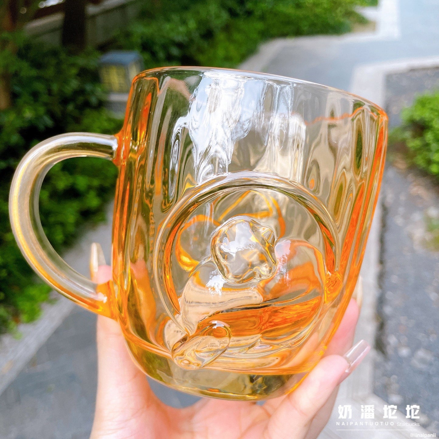 Starbucks China 430ml 2021 autumn forest acorn glass cup