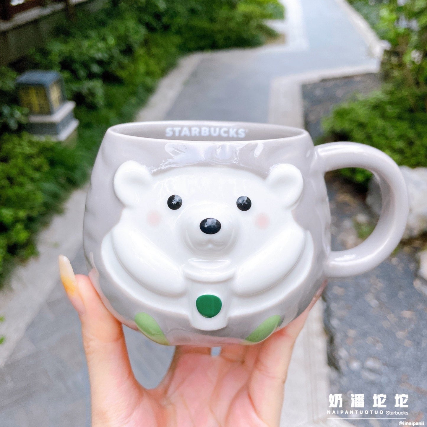 Starbucks China 335ml 2021 autumn forest acorn and hedgehog ceramics mug