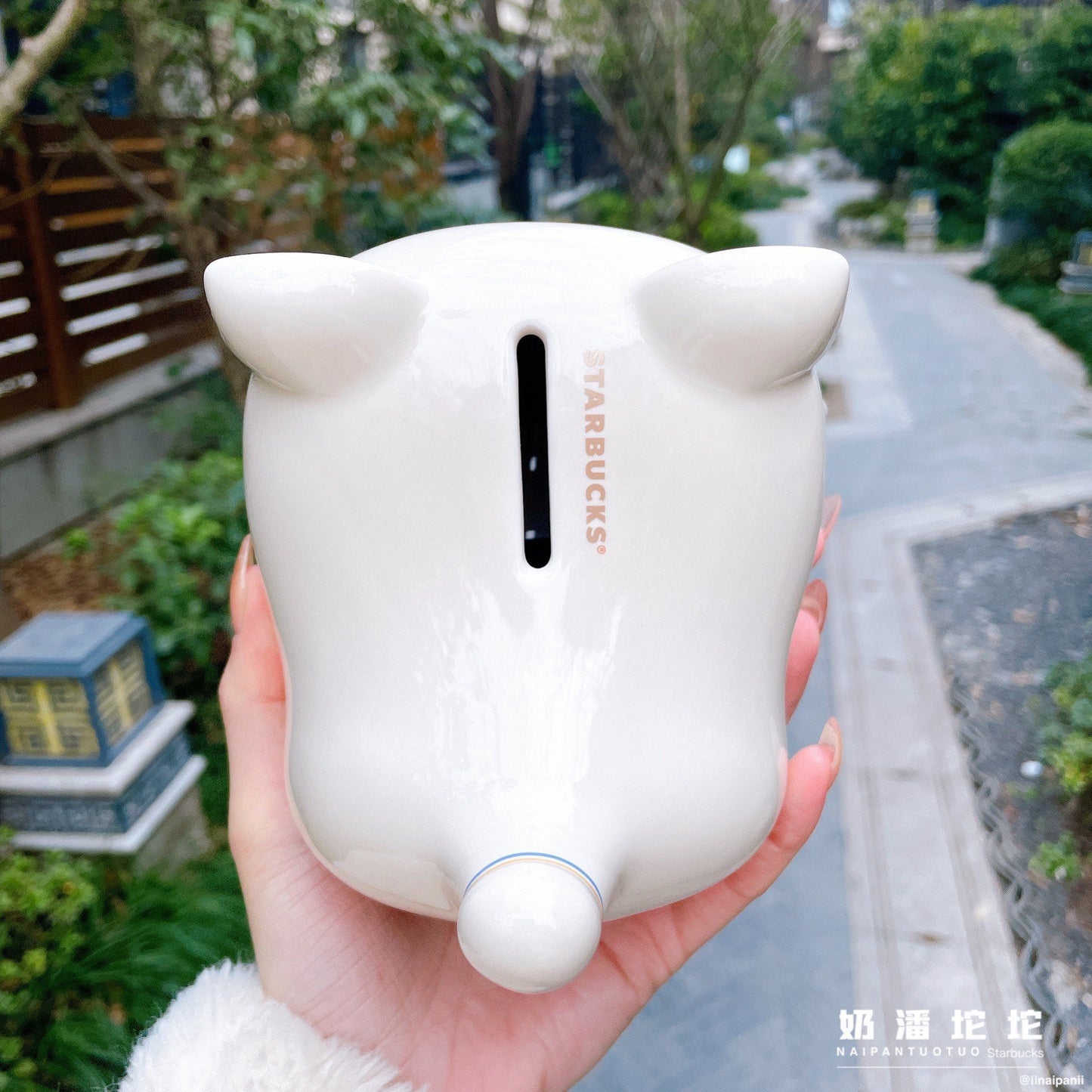 Starbucks China 2022 new year tiger series Chinese traditional white tiger ceramics money saving